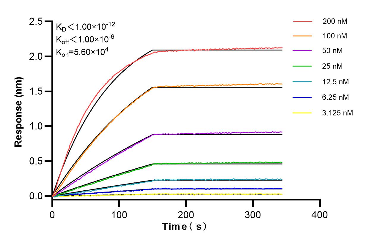 Affinity and Kinetic Characterization of 84103-5-RR
