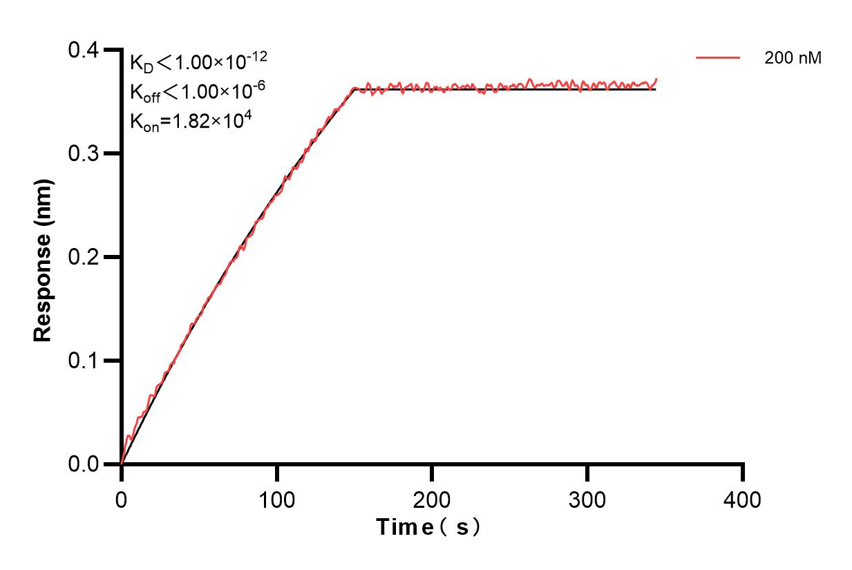 Affinity and Kinetic Characterization of 84120-2-PBS