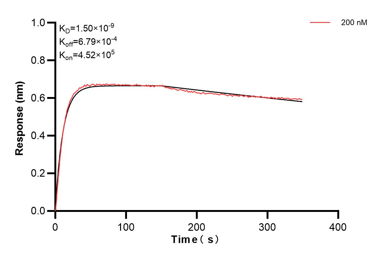Biolayer interferometry (BLl) kinetic assay of 84132-2-PBS against Human FABP6 was performed. The affinity constant is 1.50 nM. Affinity and Kinetic Characterization of 84132-2-PBS