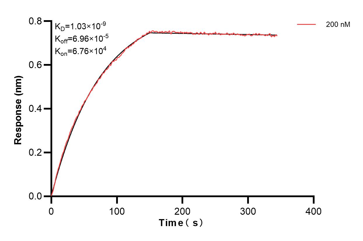 Affinity and Kinetic Characterization of 84134-3-PBS