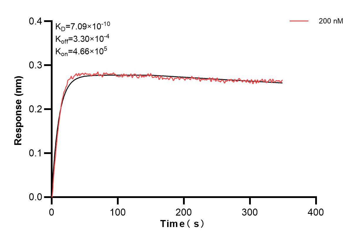 Affinity and Kinetic Characterization of 84136-1-PBS