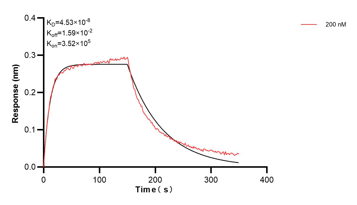 Affinity and Kinetic Characterization of 84136-4-PBS