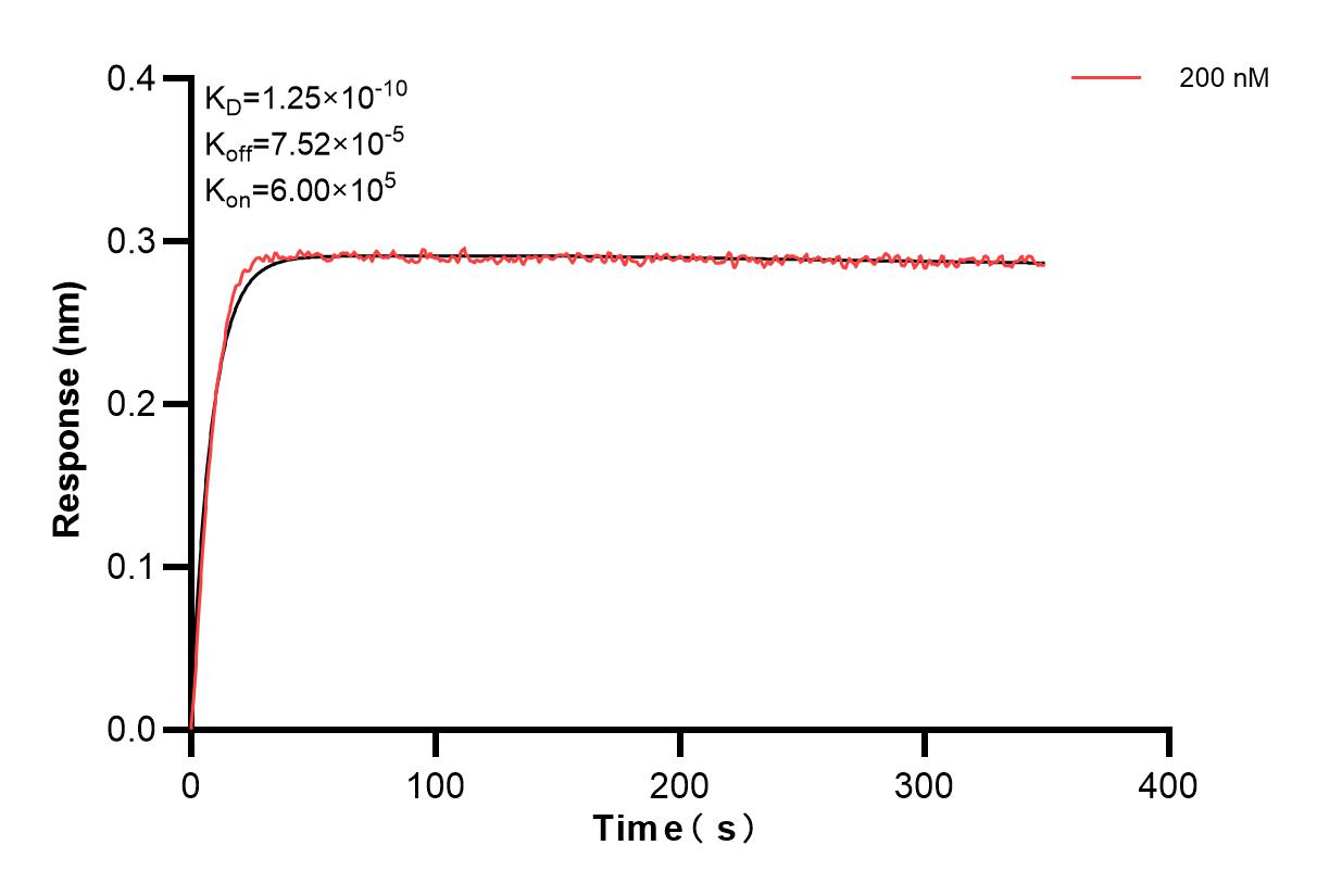 Affinity and Kinetic Characterization of 84136-6-PBS