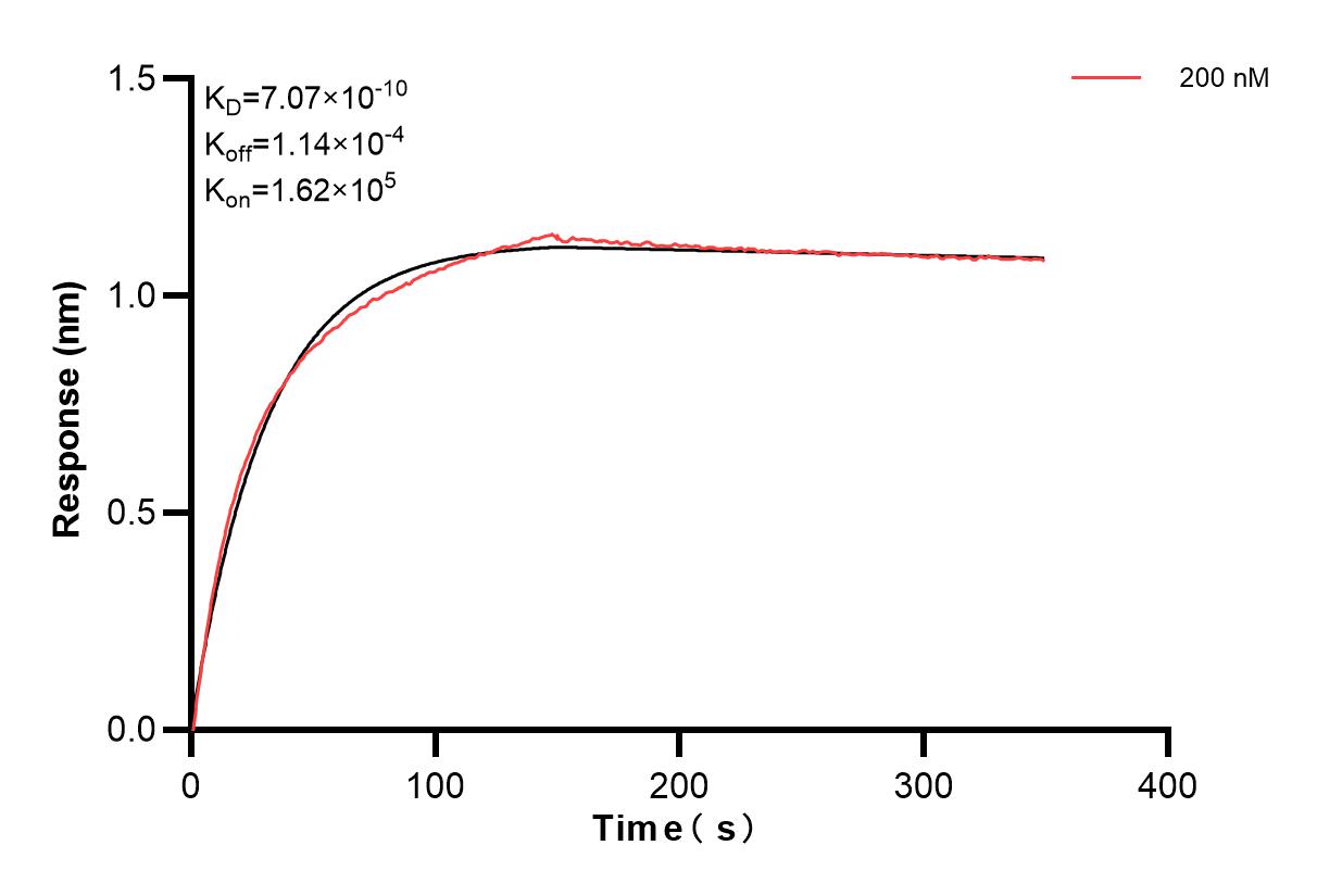 Affinity and Kinetic Characterization of 84149-4-PBS