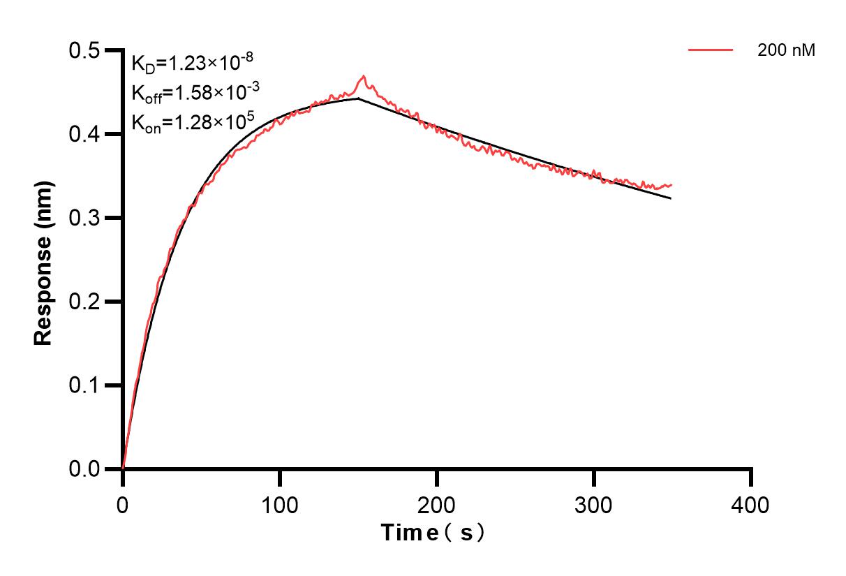 Affinity and Kinetic Characterization of 84165-3-PBS
