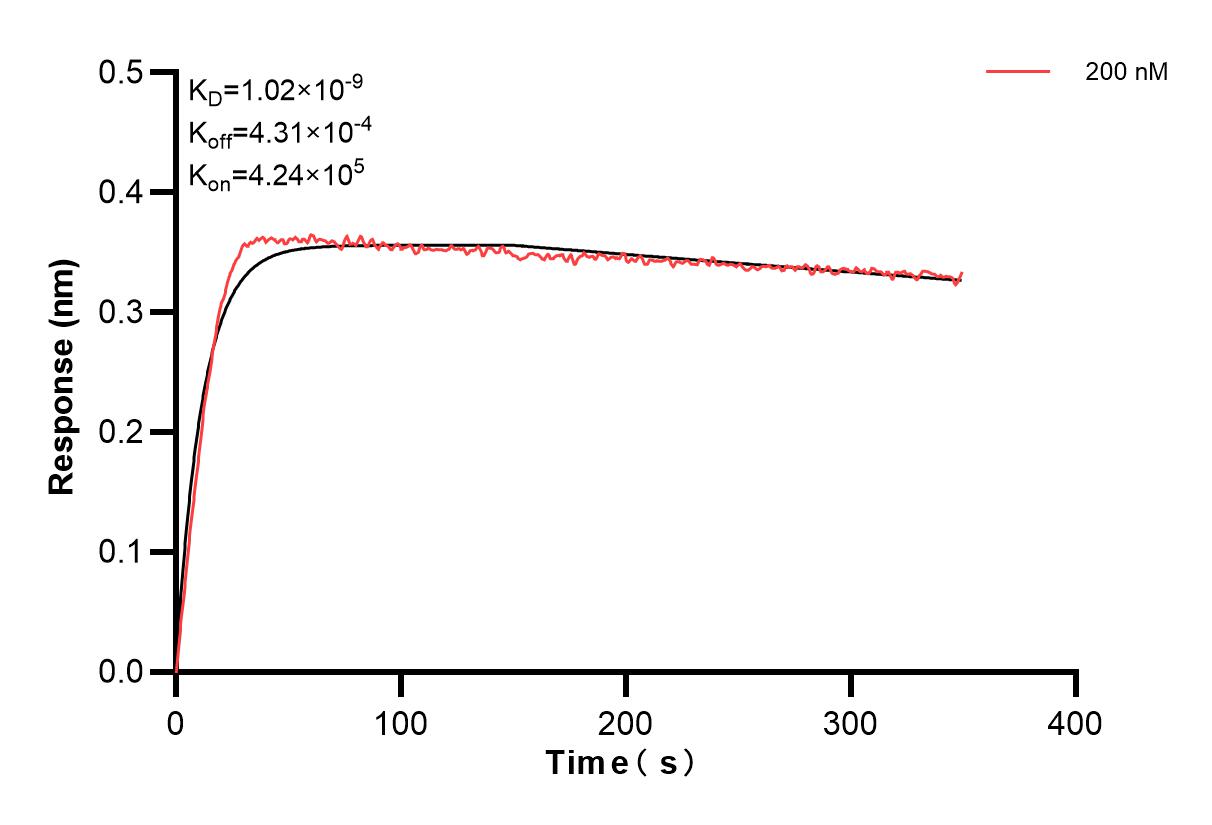 Affinity and Kinetic Characterization of 84165-4-PBS