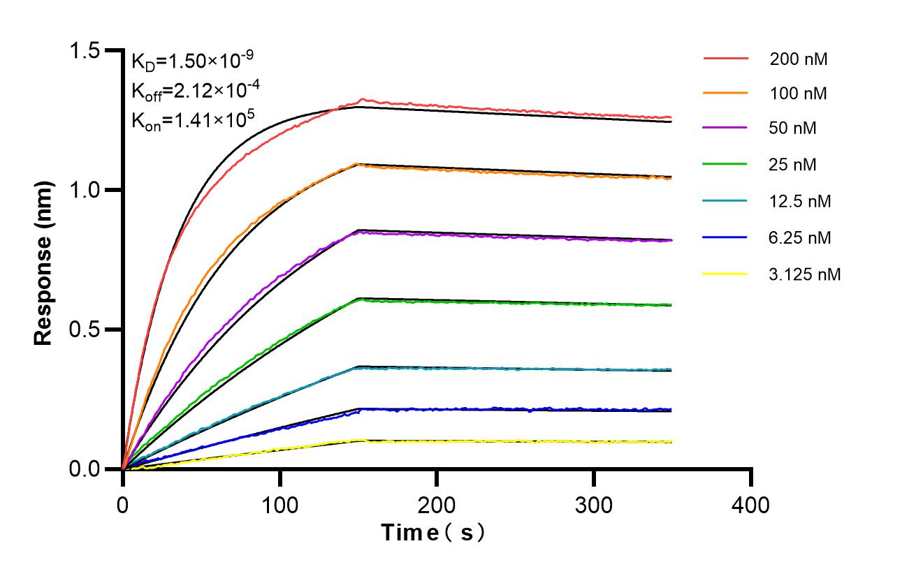 Affinity of 84182-3-PBS