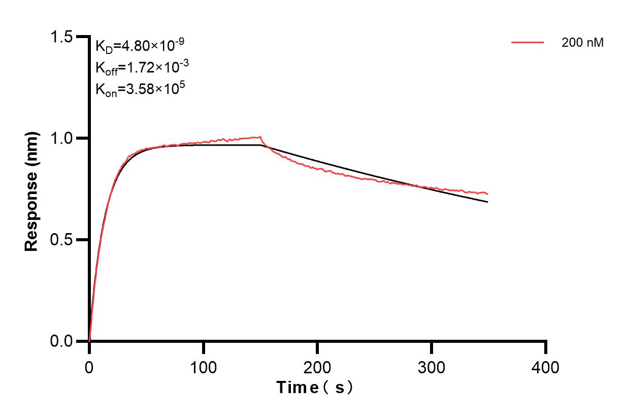 Biolayer interferometry (BLl) kinetic assay of 84187-1-PBS against Human DCHS1 was performed. The affinity constant is 4.80 nM. Affinity and Kinetic Characterization of 84187-1-PBS