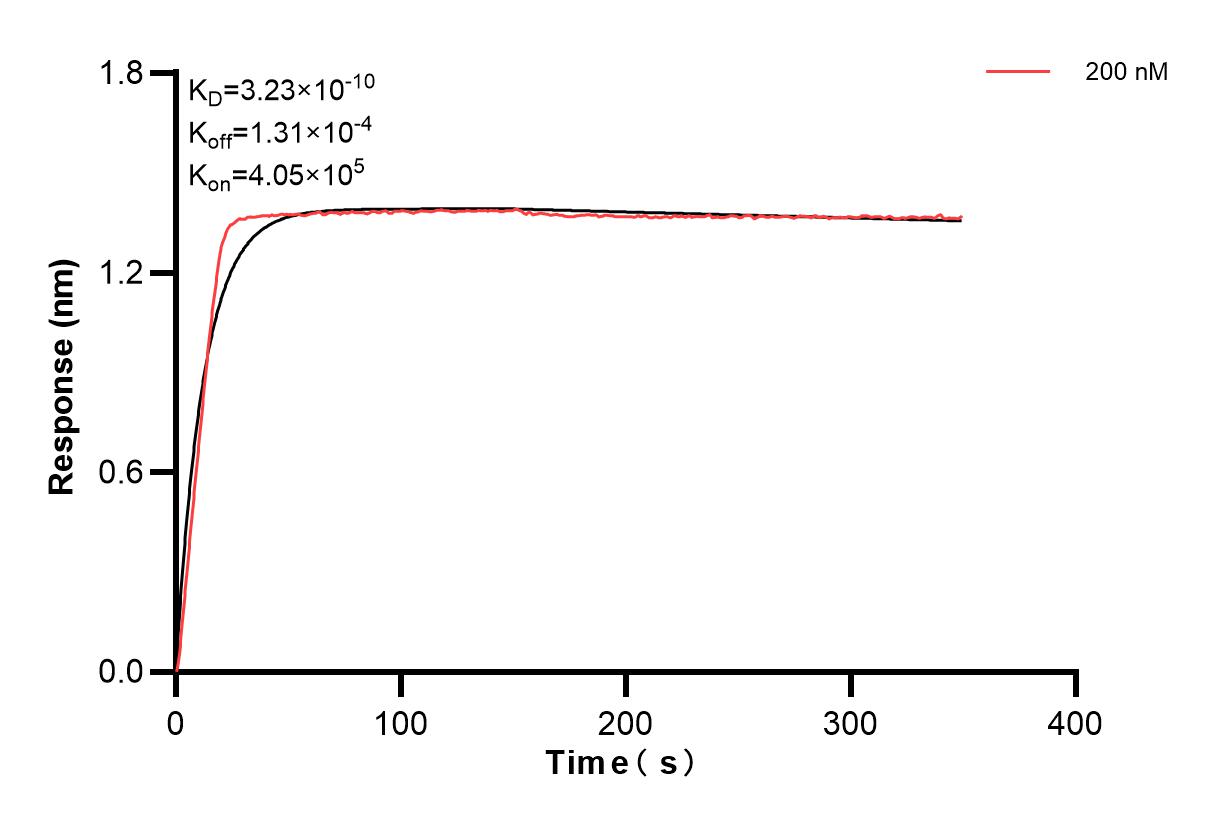 Affinity and Kinetic Characterization of 84191-1-PBS