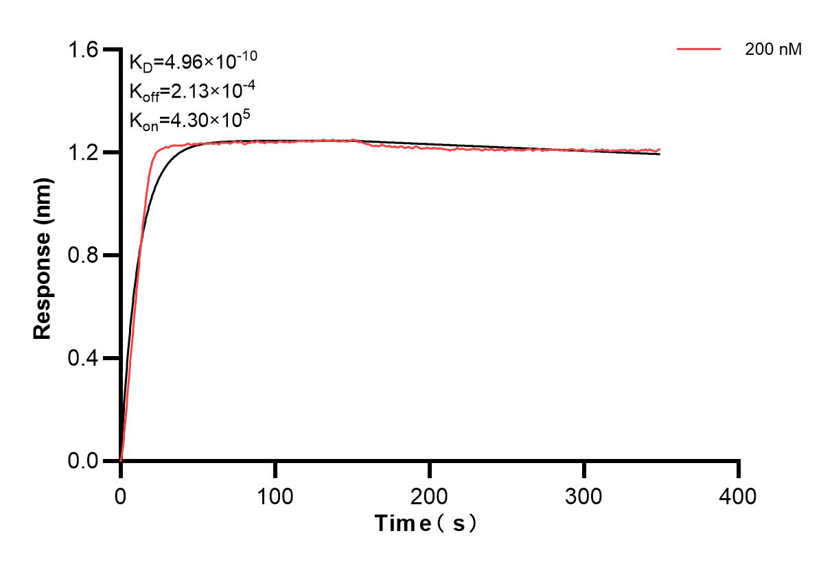 Affinity and Kinetic Characterization of 84191-2-PBS