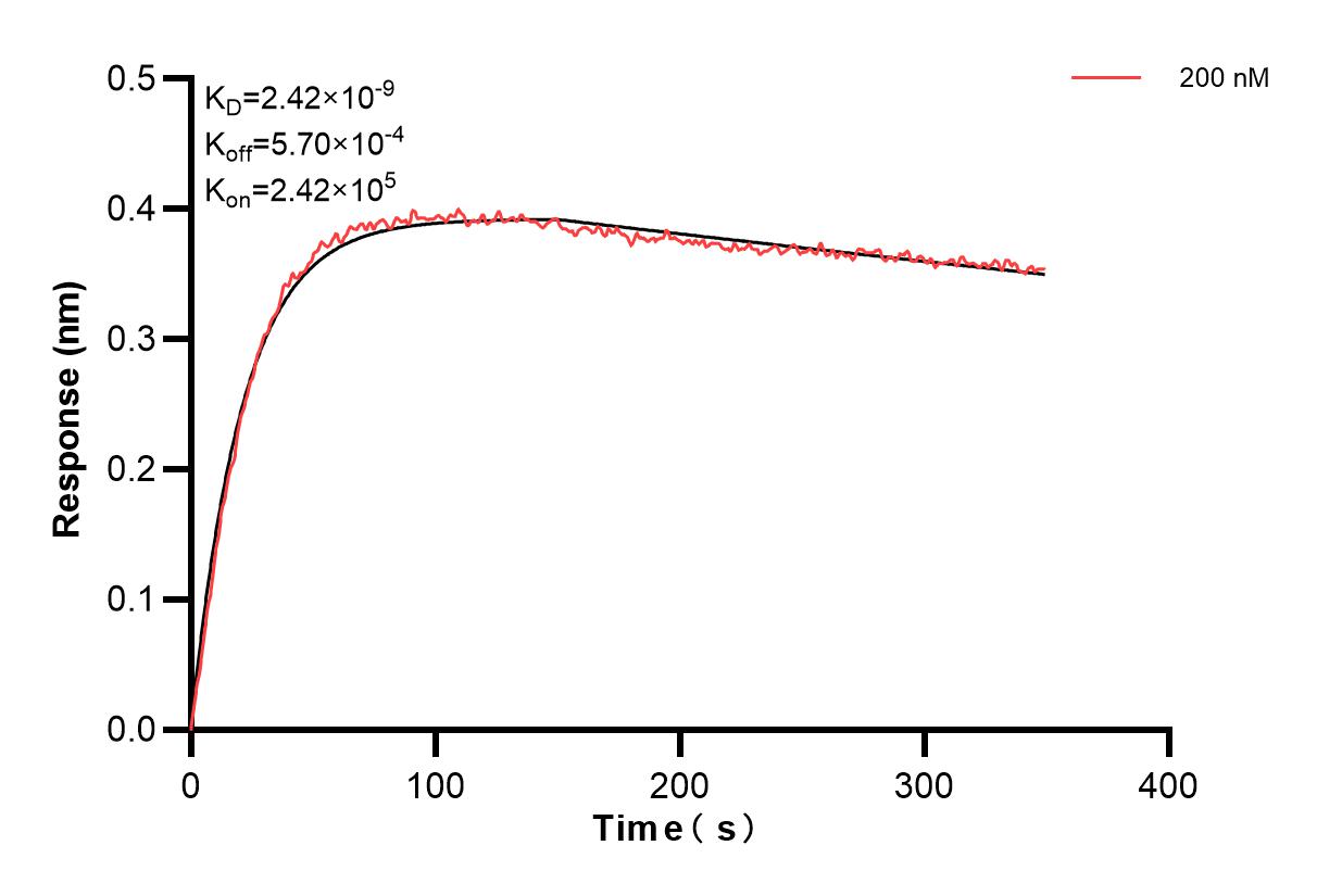 Affinity and Kinetic Characterization of 84232-2-PBS