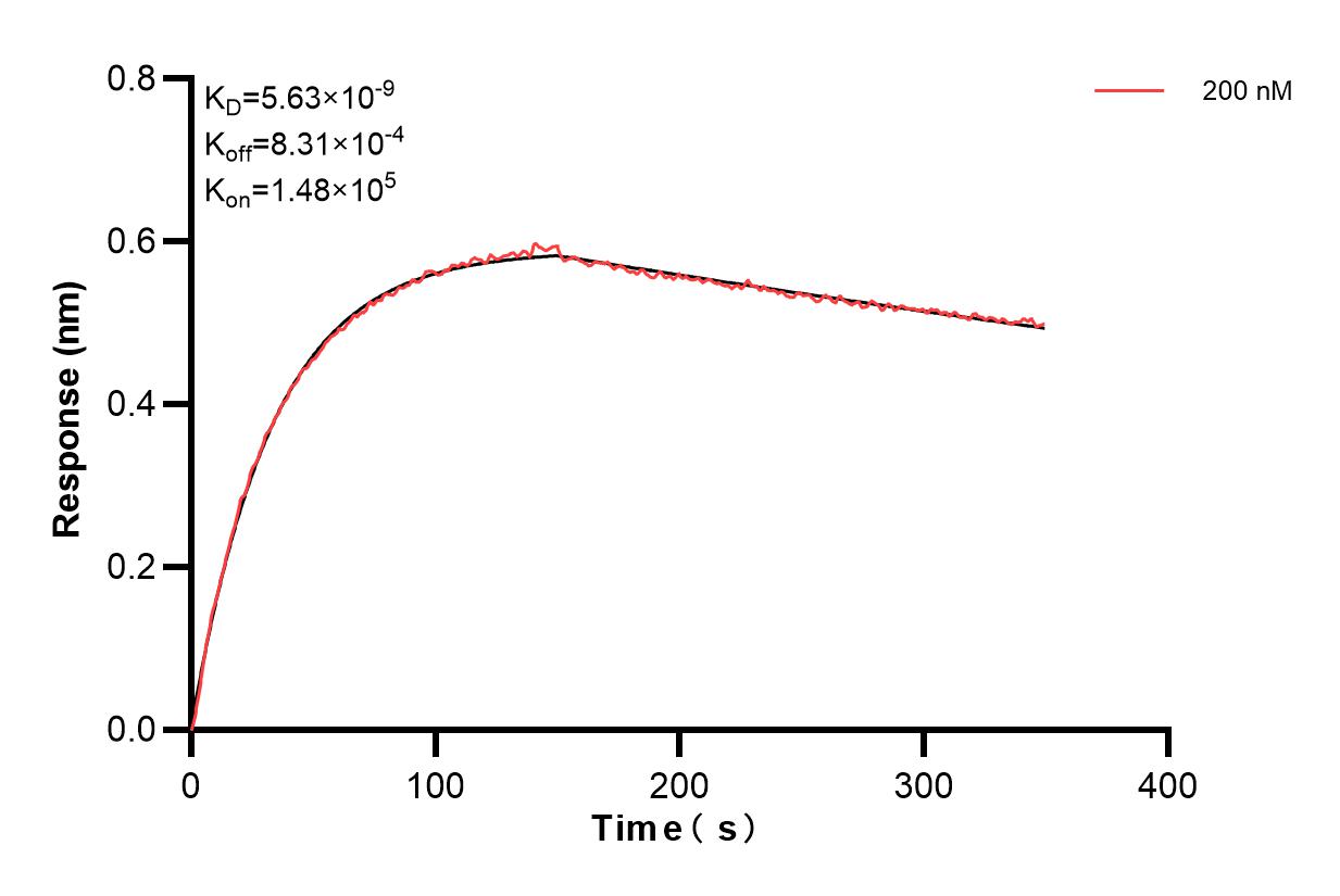 Biolayer interferometry (BLl) kinetic assay of 84247-2-PBS against Human OX40/TNFRSF4 was performed. The affinity constant is 5.63 nM. Affinity and Kinetic Characterization of 84247-2-PBS