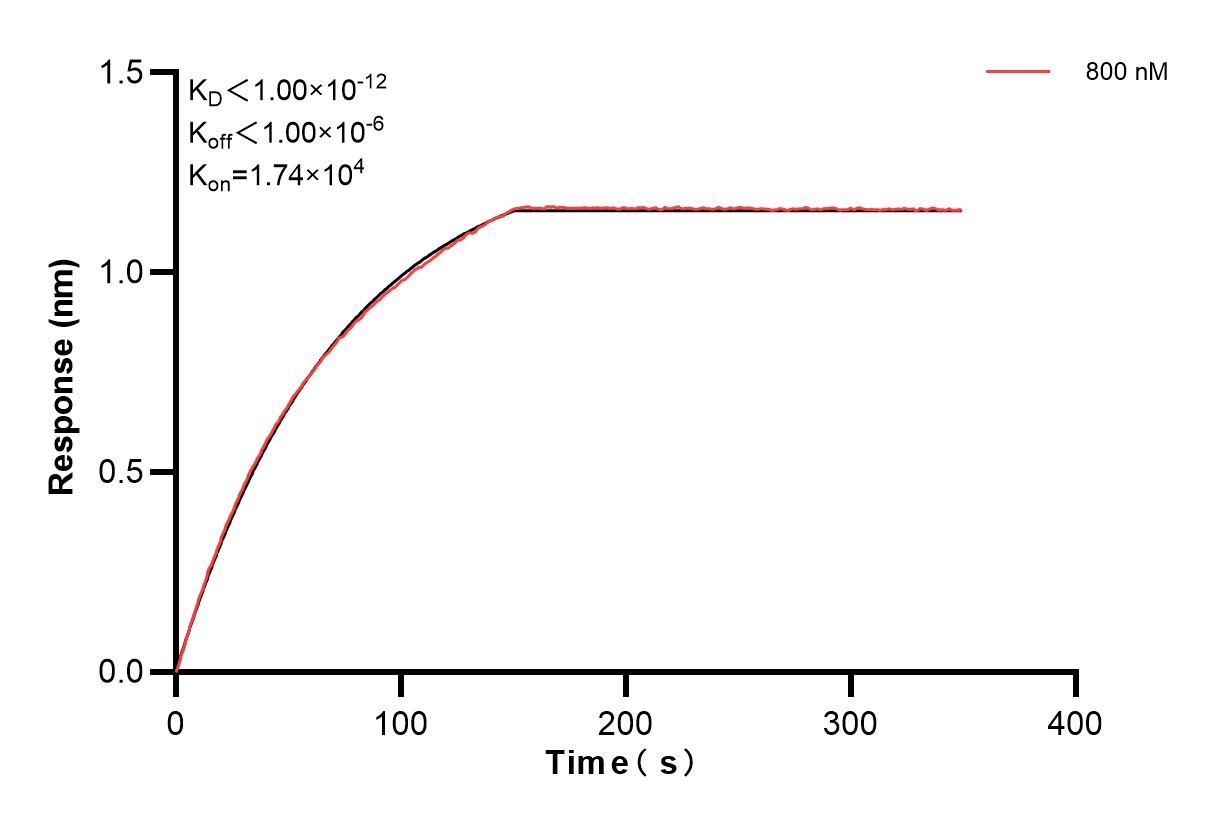 Affinity of 84251-1-PBS