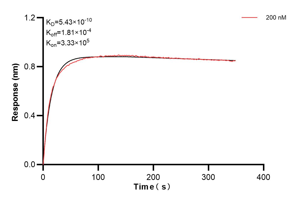 Biolayer interferometry (BLl) kinetic assays of 84259-8-PBS against Human C-Kit were performed. The affinity constant is 0.543 nM. Affinity and Kinetic Characterization of 84259-8-PBS