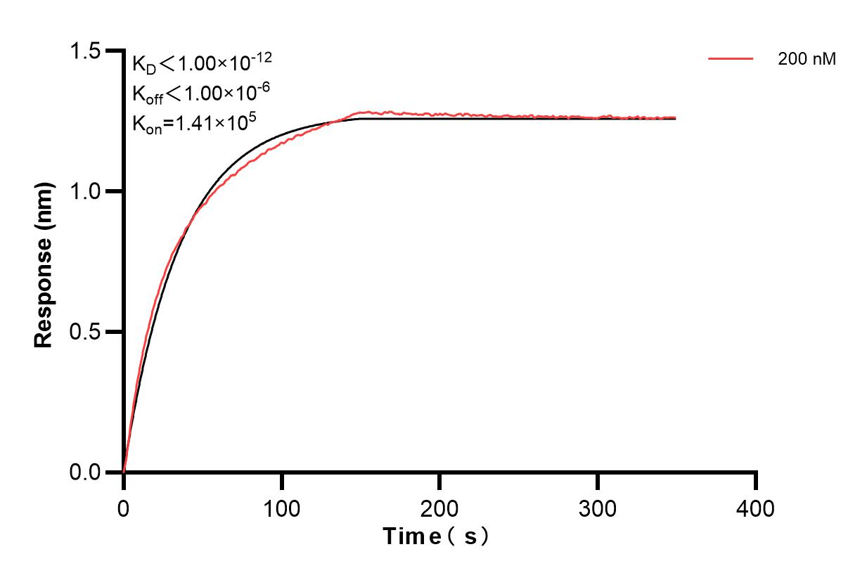 Biolayer interferometry (BLl) kinetic assay of 84264-7-PBS against Human GBP2 was performed. The affinity constant is below 1 pM. Affinity and Kinetic Characterization of 84264-7-PBS