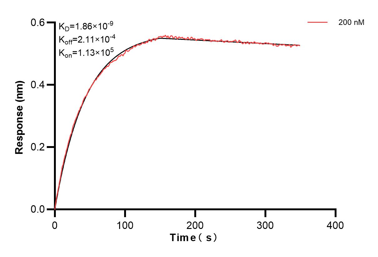 Affinity and Kinetic Characterization of 84292-4-PBS