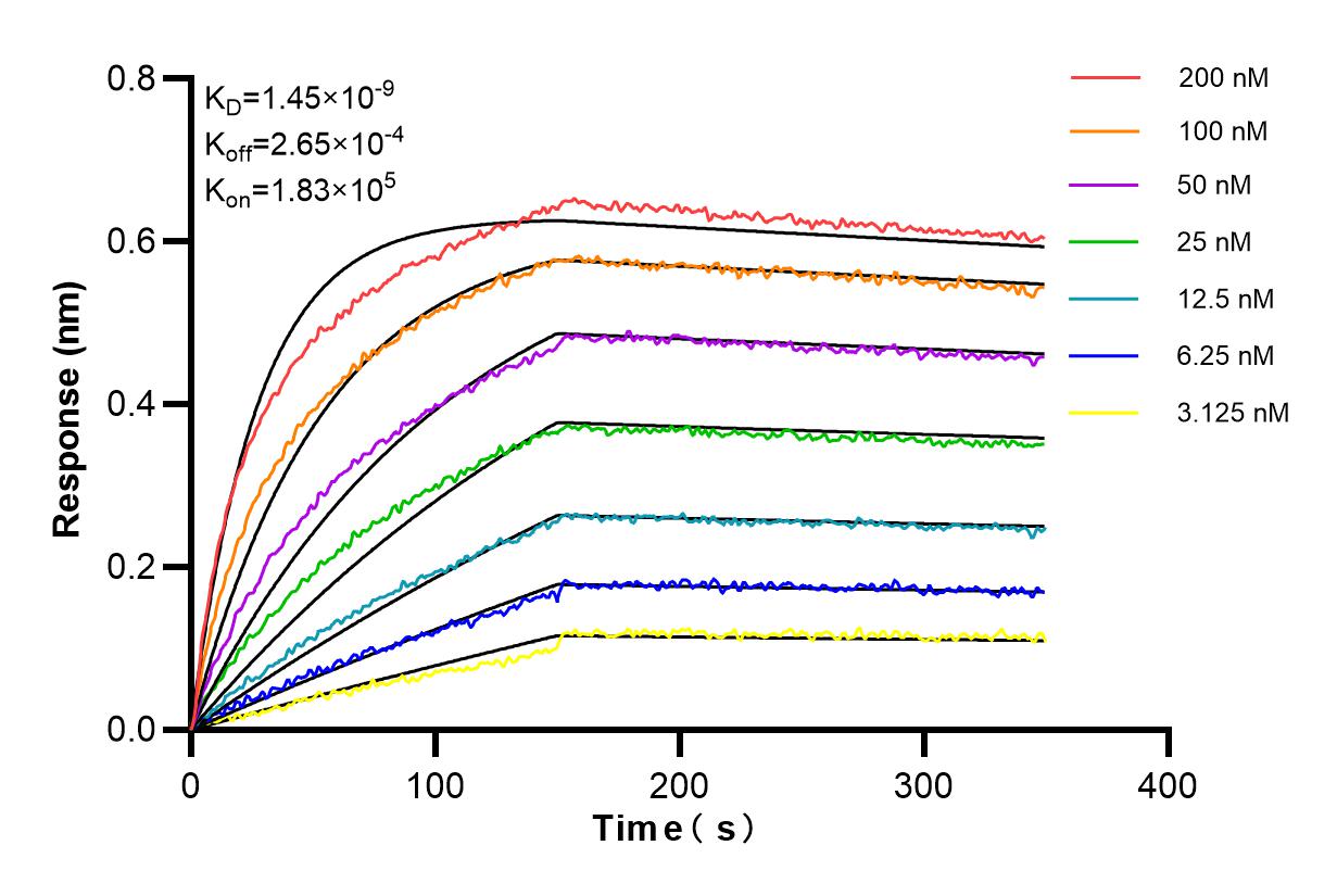 Affinity and Kinetic Characterization of 84335-3-RR