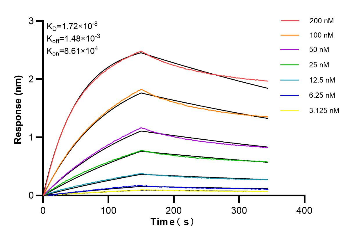 Affinity and Kinetic Characterization of 84345-4-RR