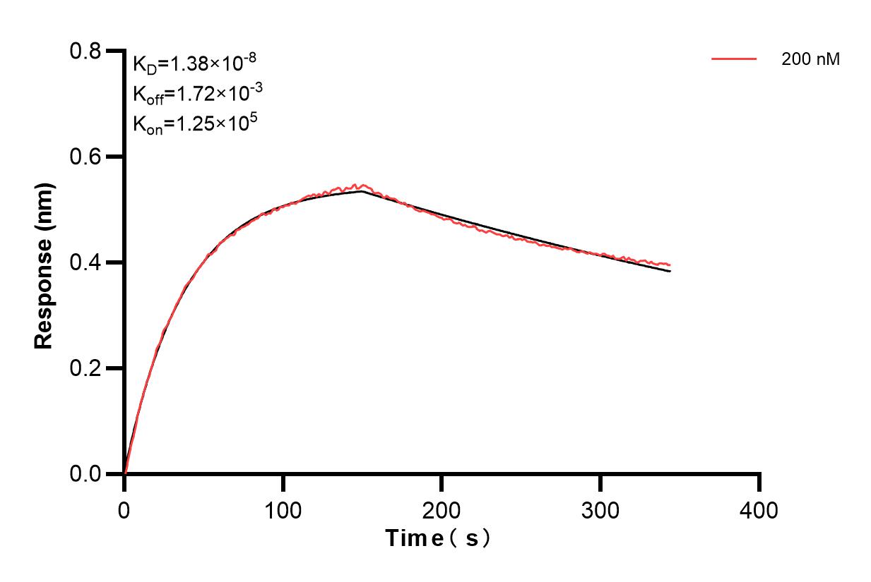 Affinity of 84364-1-PBS