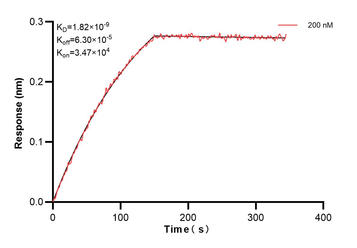 Affinity and Kinetic Characterization of 84375-2-PBS