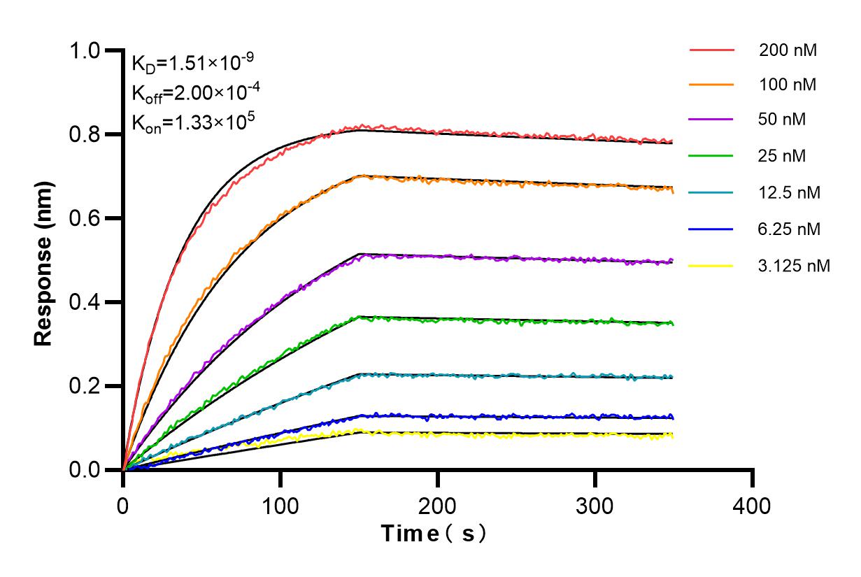 Biolayer interferometry (BLl) kinetic assays of 84390-6-PBS against Human IL-18R1 were performed. The affinity constant is 1.51 nM. Affinity and Kinetic Characterization of 84390-6-PBS