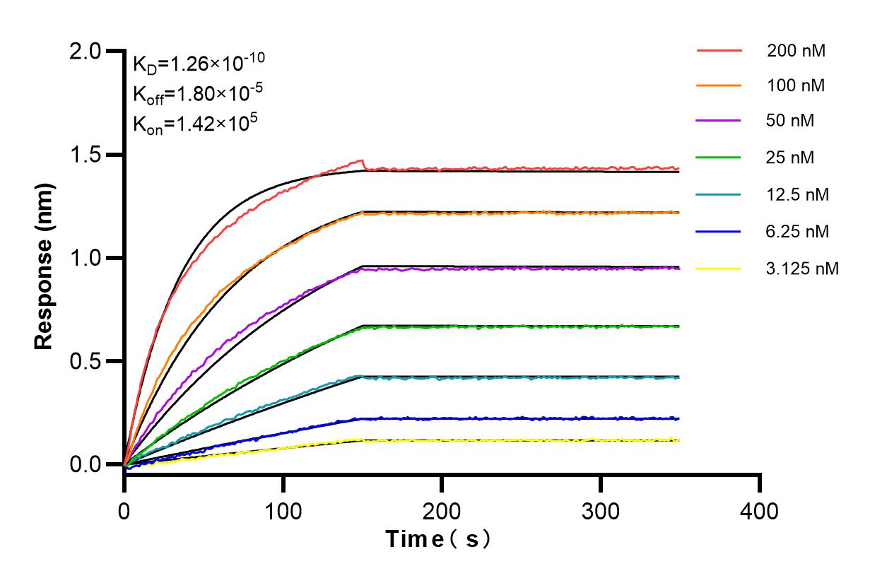 Affinity and Kinetic Characterization of 84397-2-RR