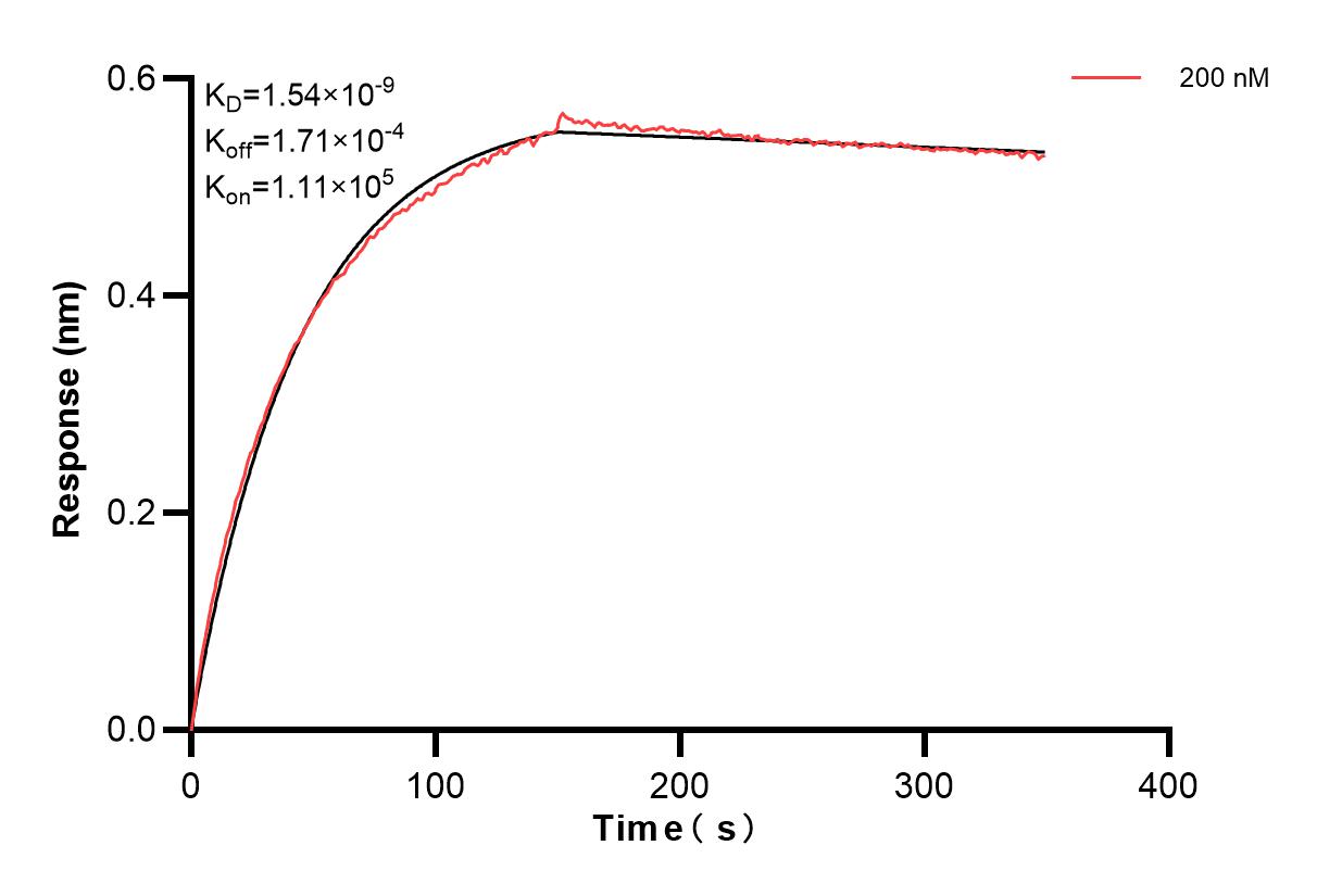 Affinity of 84406-1-PBS