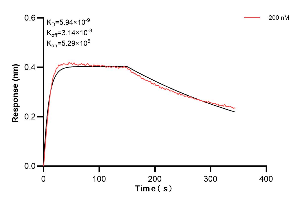 Biolayer interferometry (BLl) kinetic assay of 84411-4-PBS against Human IL1A was performed. The affinity constant is 5.94 nM. Affinity of 84411-4-PBS