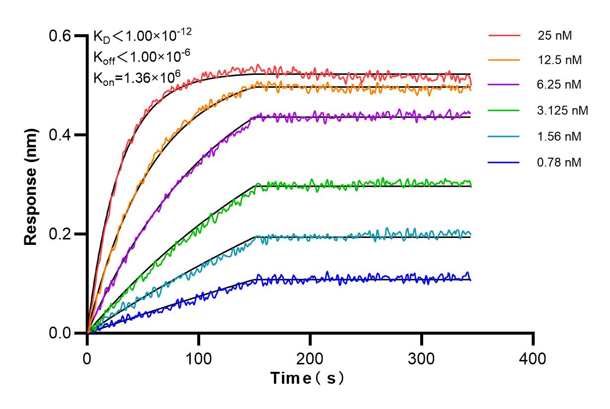 Affinity and Kinetic Characterization of 84414-2-PBS
