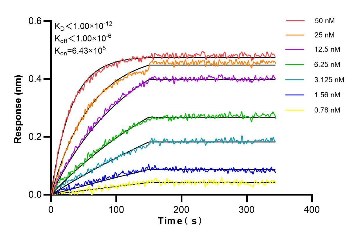 Affinity and Kinetic Characterization of 84414-3-PBS