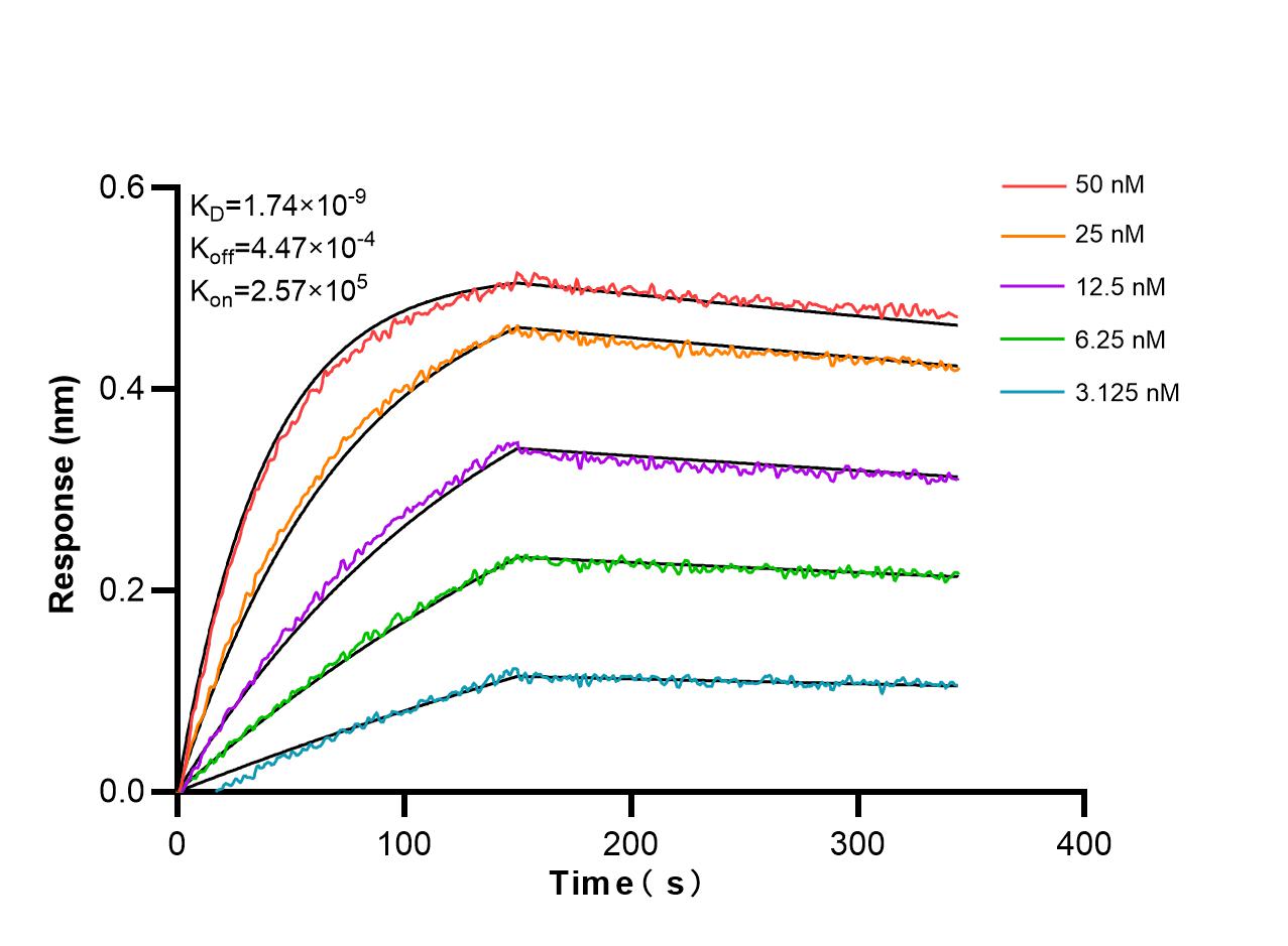 Affinity and Kinetic Characterization of 84420-6-RR