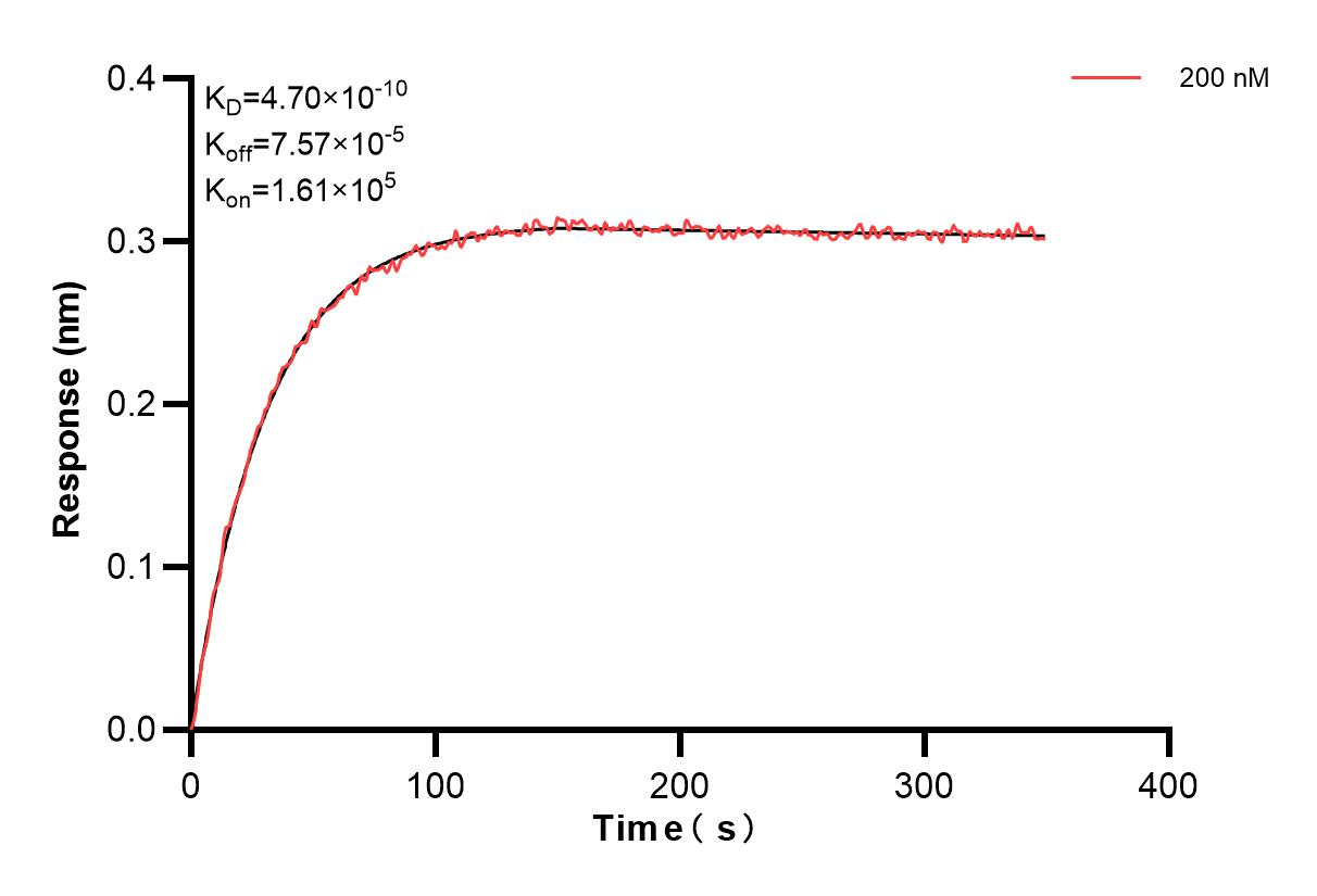 Affinity and Kinetic Characterization of 84422-1-PBS