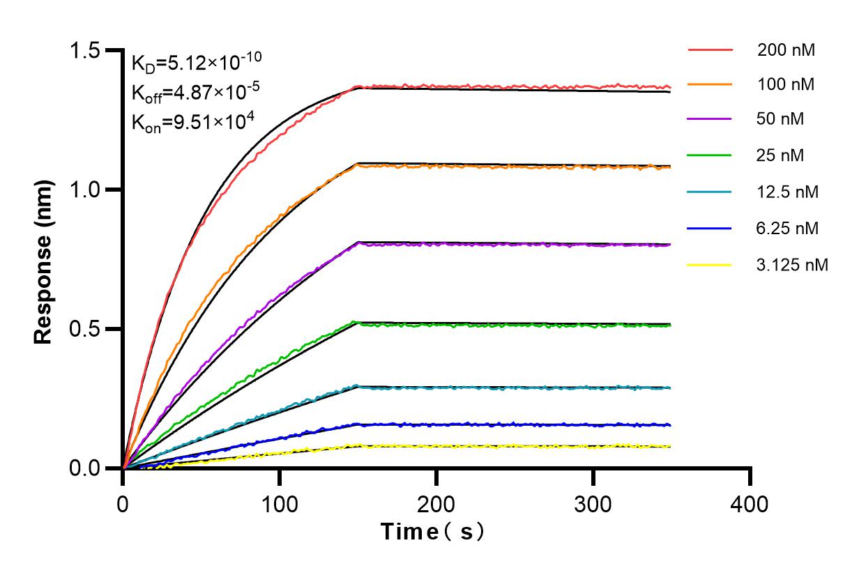 Affinity and Kinetic Characterization of 84449-1-RR