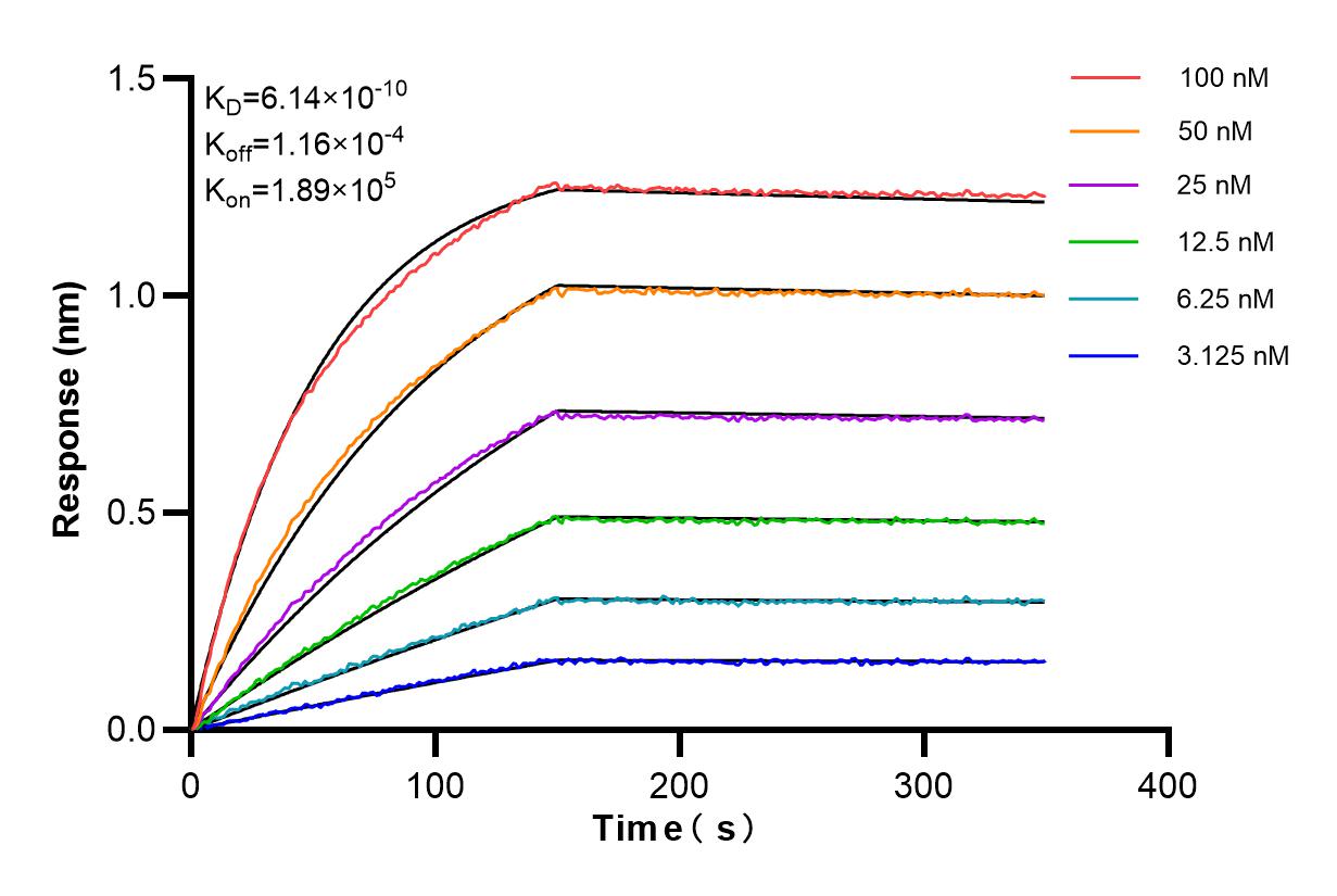 Affinity and Kinetic Characterization of 84463-3-RR