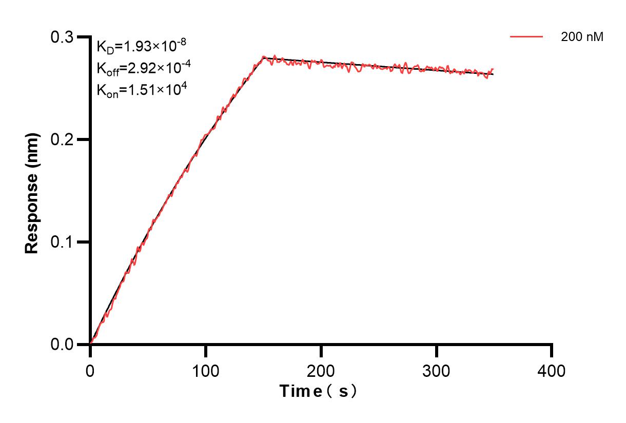 Biolayer interferometry (BLl) kinetic assay of 84467-1-PBS against Human INSR/CD220 was performed. The affinity constant is 19.3 nM. Affinity and Kinetic Characterization of 84467-1-PBS