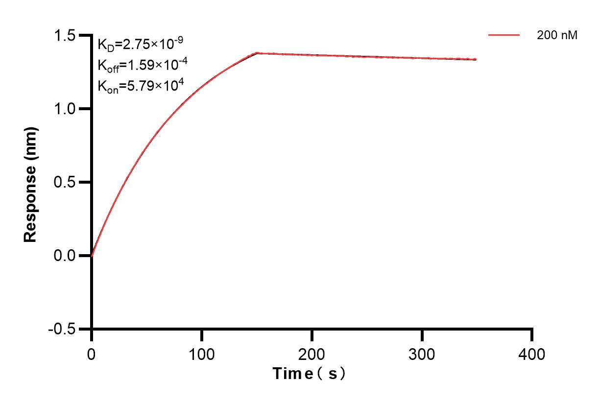 Biolayer interferometry (BLl) kinetic assay of 84471-4-PBS against Human DKK1 was performed. The affinity constant is 2.75 nM. Affinity of 84471-4-PBS
