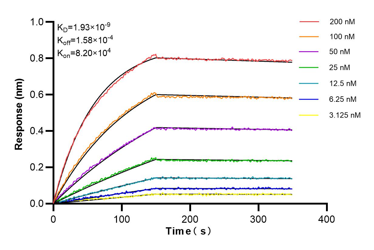 Affinity and Kinetic Characterization of 84478-6-RR