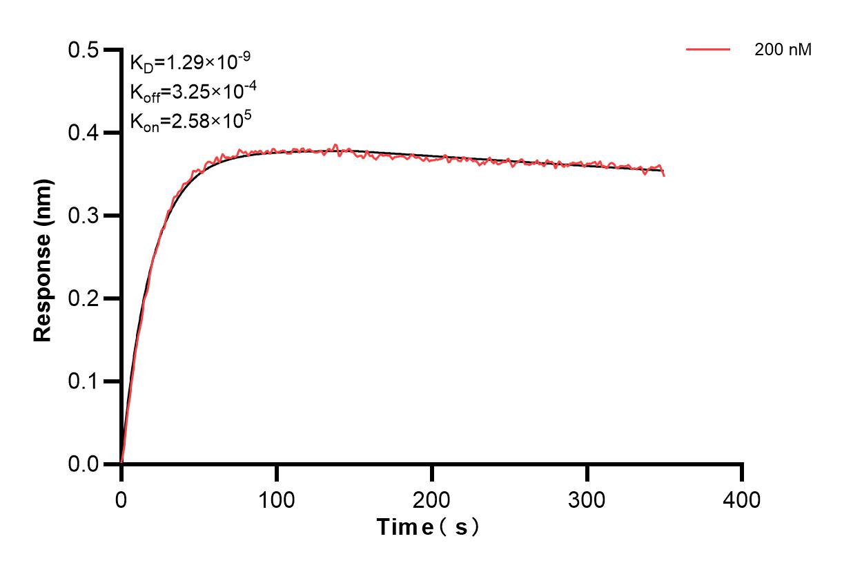 Affinity and Kinetic Characterization of 84485-1-PBS