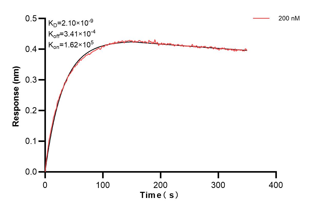 Affinity and Kinetic Characterization of 84485-2-PBS