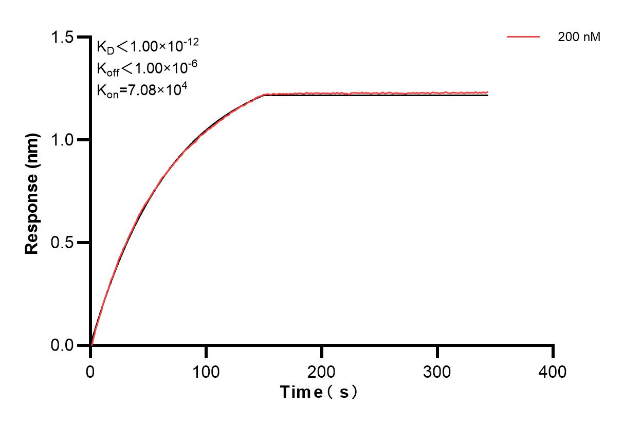 Affinity and Kinetic Characterization of 84493-1-PBS