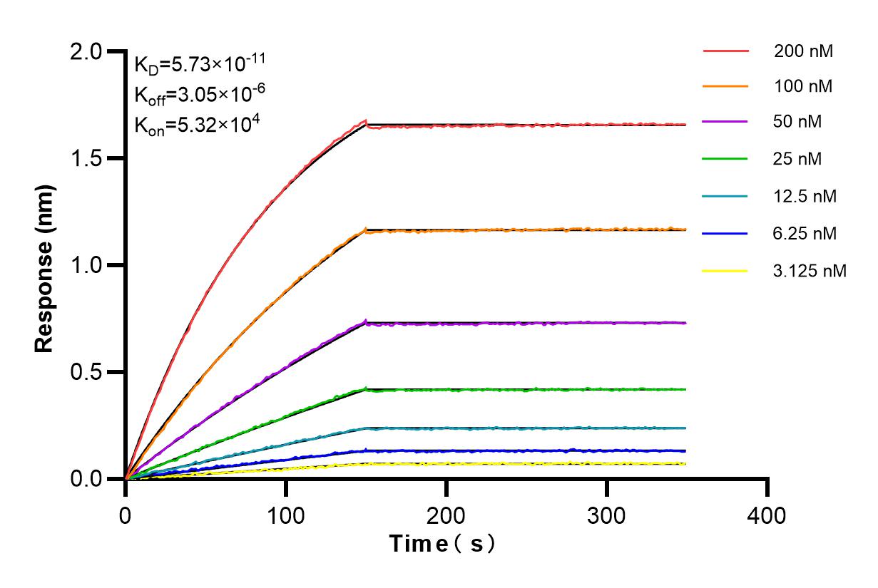 Affinity and Kinetic Characterization of 84493-6-RR