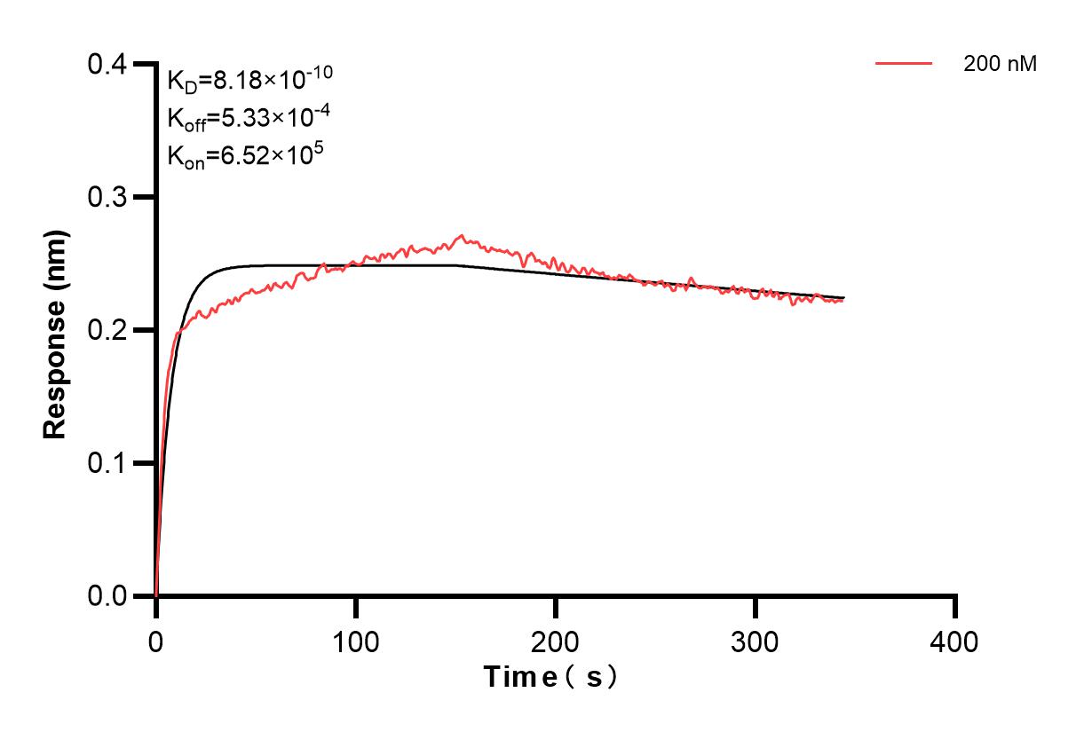 Affinity and Kinetic Characterization of 84497-2-PBS