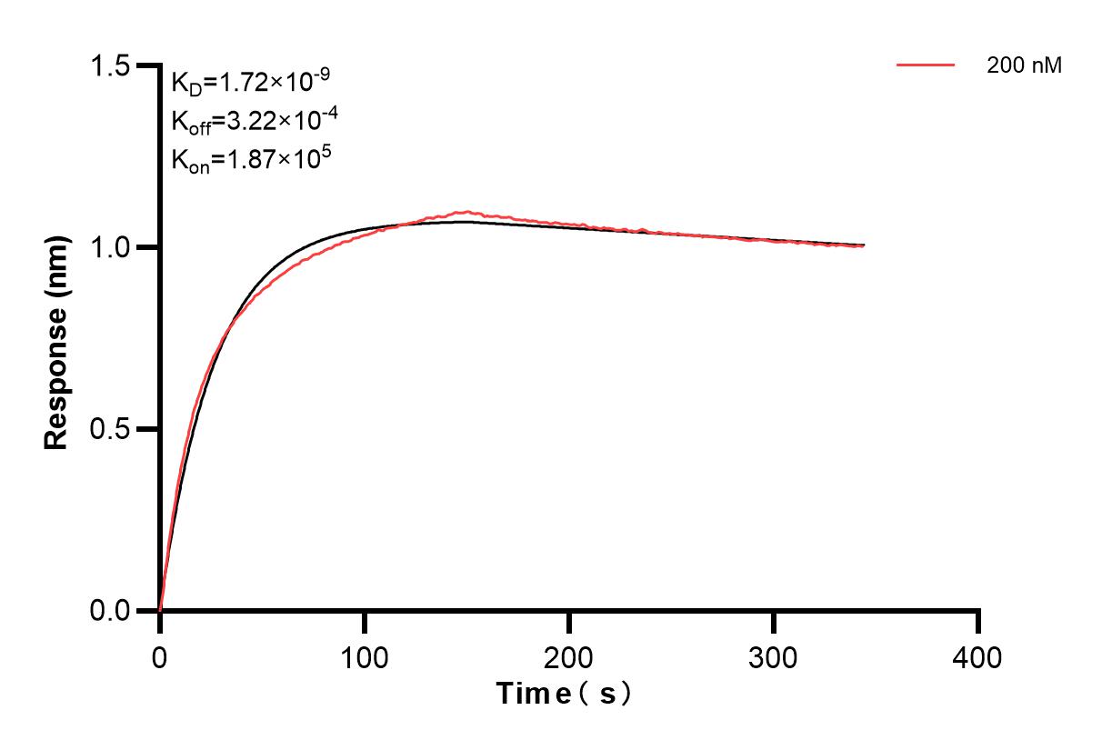 Biolayer interferometry (BLl) kinetic assay of 84507-1-PBS against Human CD63 were performed. The affinity constant is 1.72 nM. Affinity of 84507-1-PBS