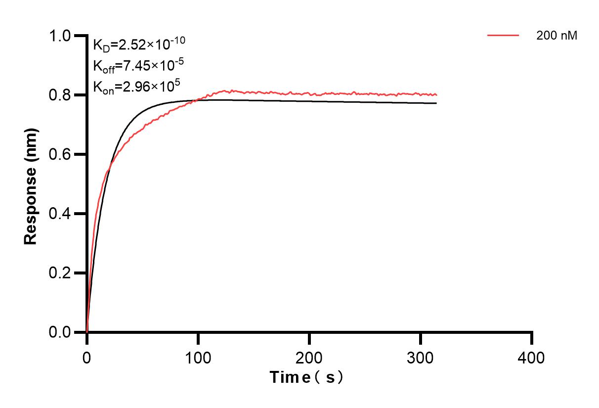 Affinity and Kinetic Characterization of 84512-3-PBS