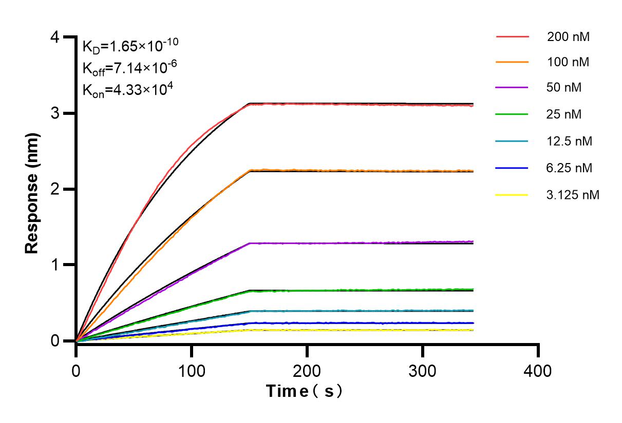 Affinity and Kinetic Characterization of 84522-1-RR