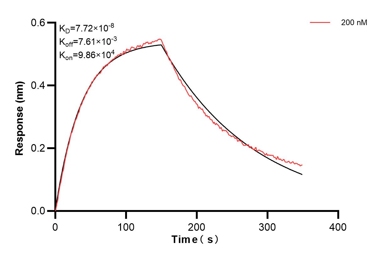 Affinity and Kinetic Characterization of 84533-2-PBS