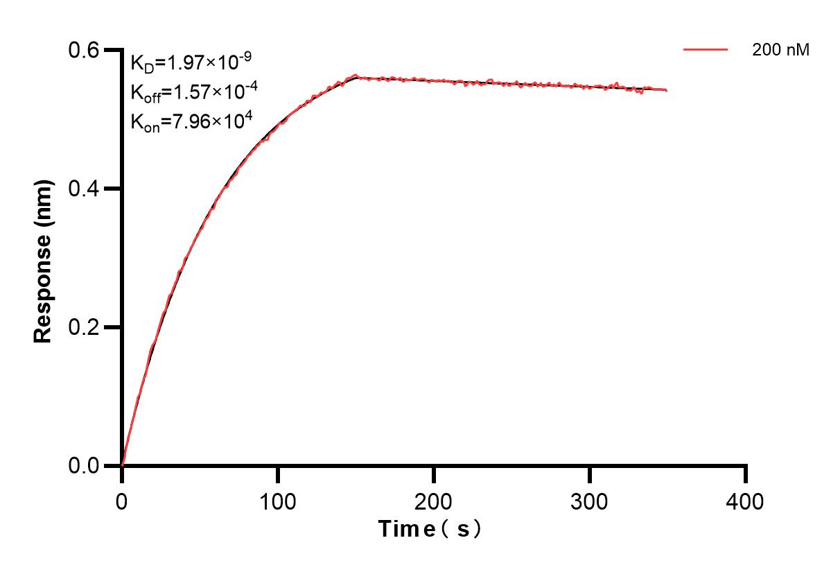 Affinity and Kinetic Characterization of 84533-3-PBS