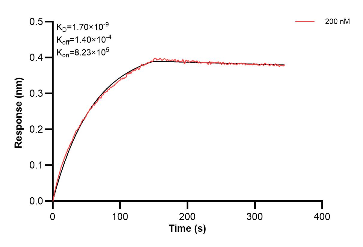 Affinity and Kinetic Characterization of 84596-3-PBS