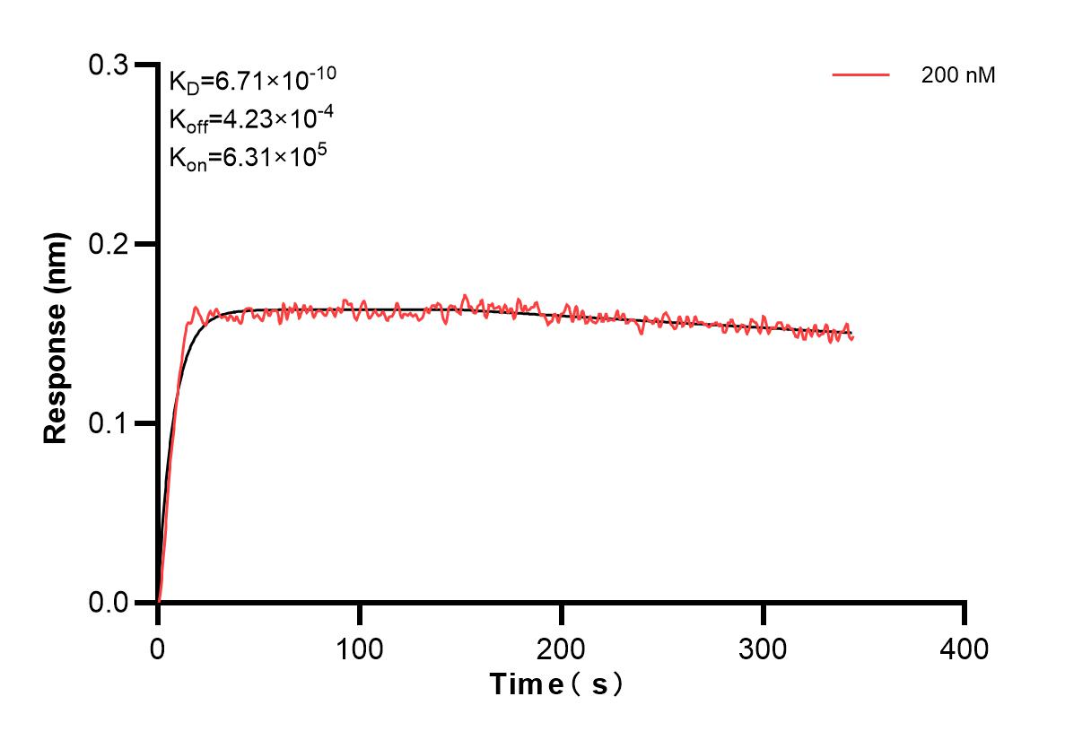 Affinity and Kinetic Characterization of 84601-1-PBS
