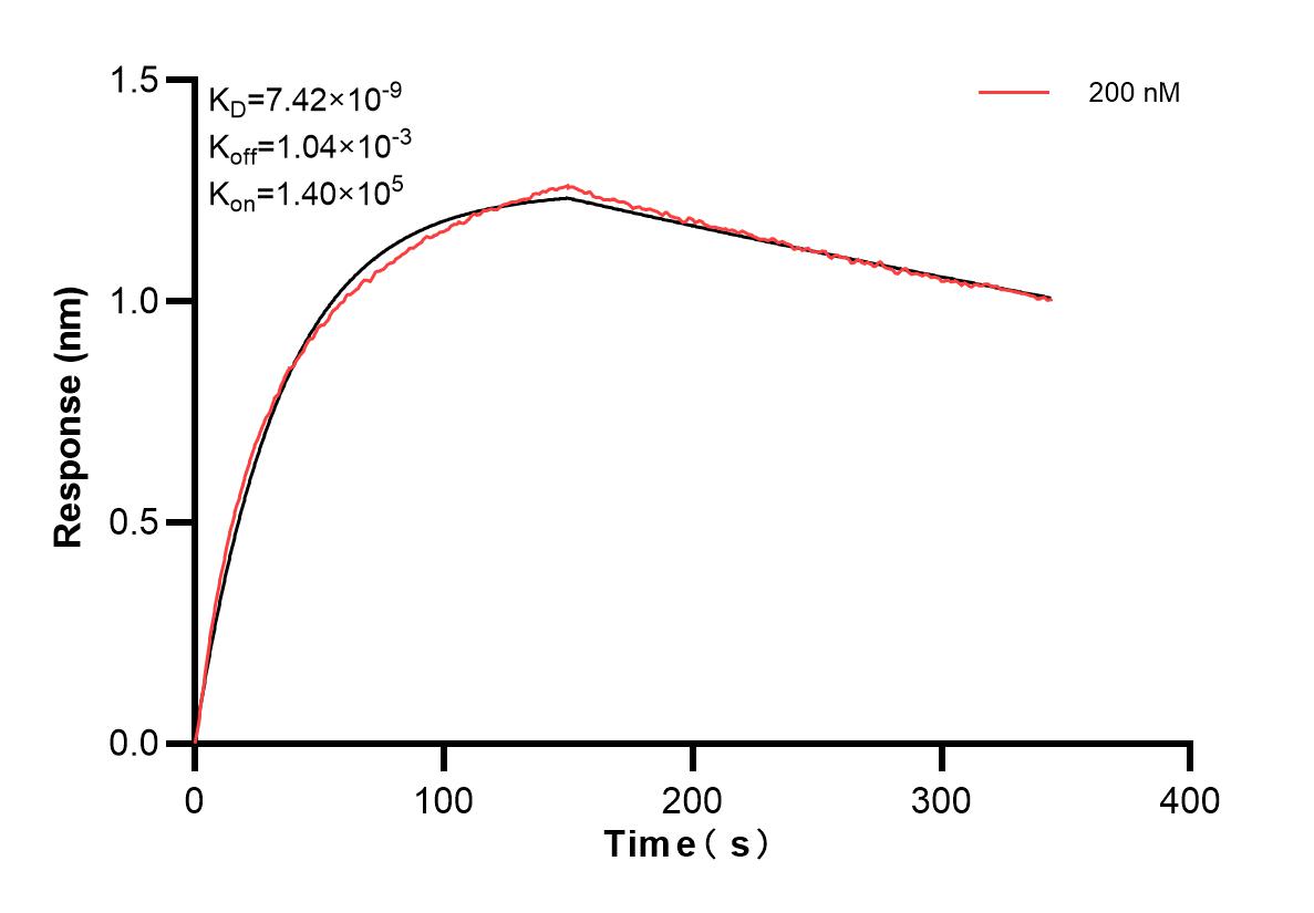 Affinity and Kinetic Characterization of 84608-3-PBS
